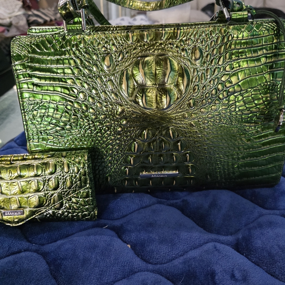 Brahmin New Josette Satchel Set